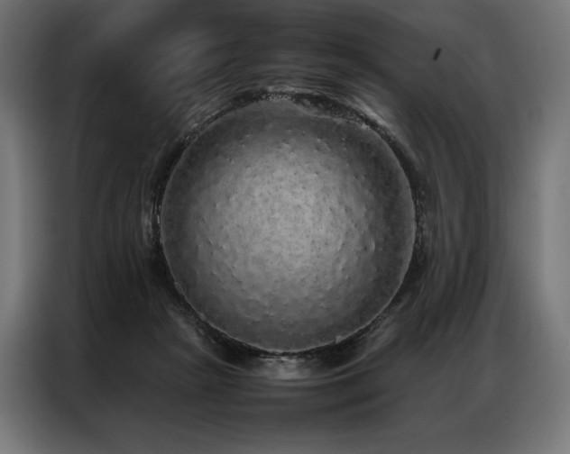 X0000087020265200704161606