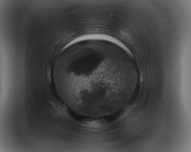 X0000087020267200704161606