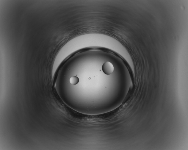 X0000087020268200704161606