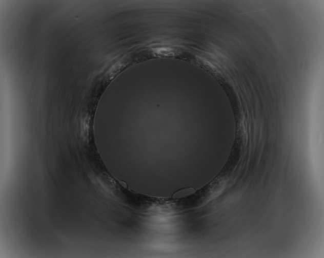 X0000087020271200704161606