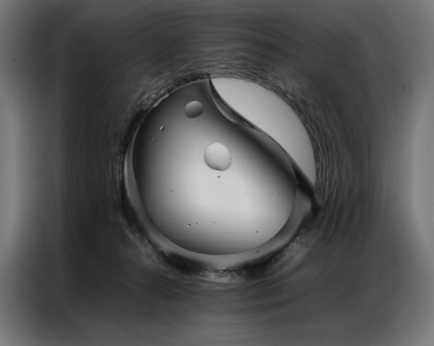 X0000087020272200704161606