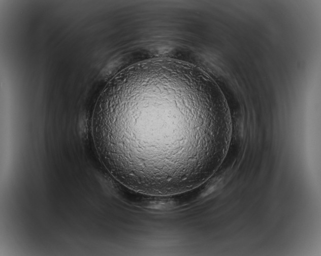 X0000087020274200704161606