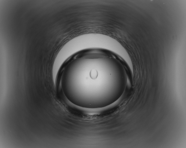 X0000087020276200704161606