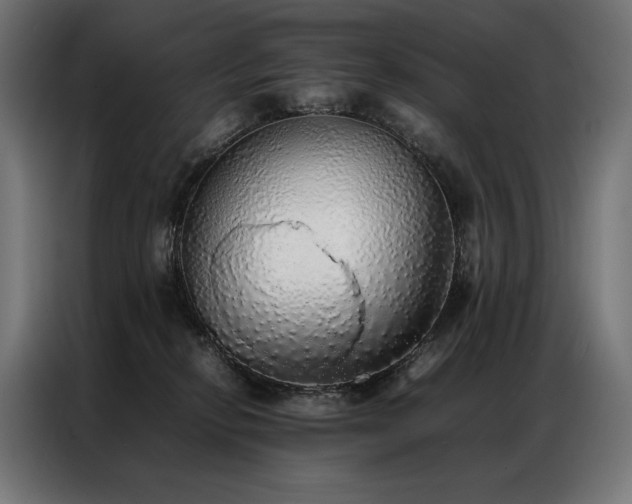 X0000087020278200704161606