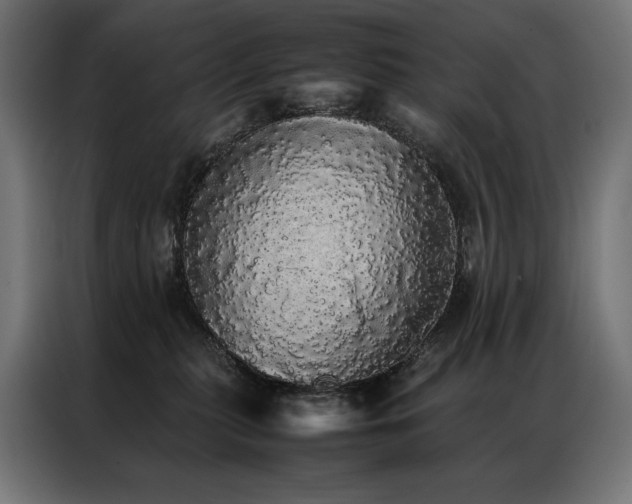 X0000087020279200704161606