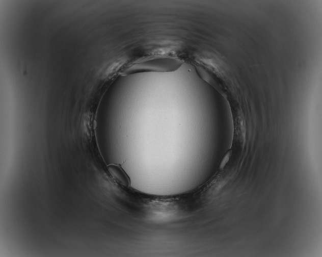 X0000087020280200704161606