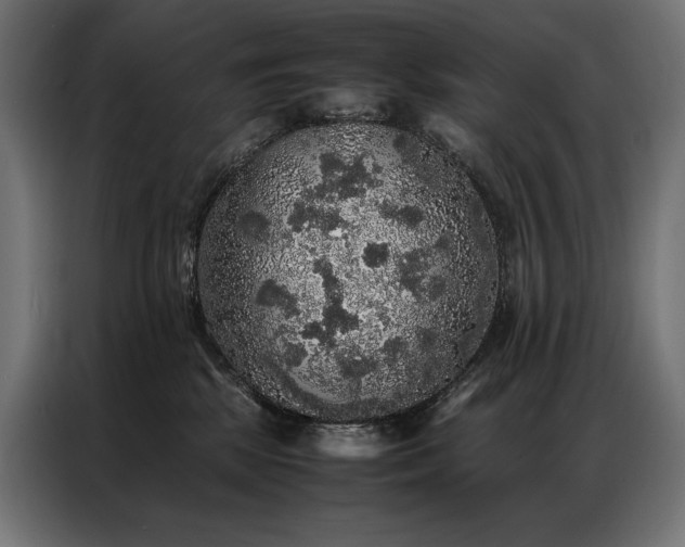 X0000087020281200704161606