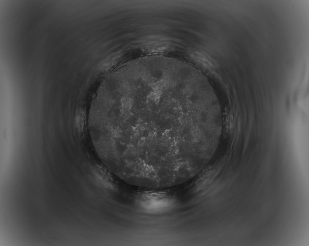 X0000087020283200704161606