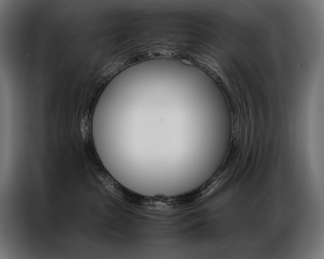 X0000087020285200704161606