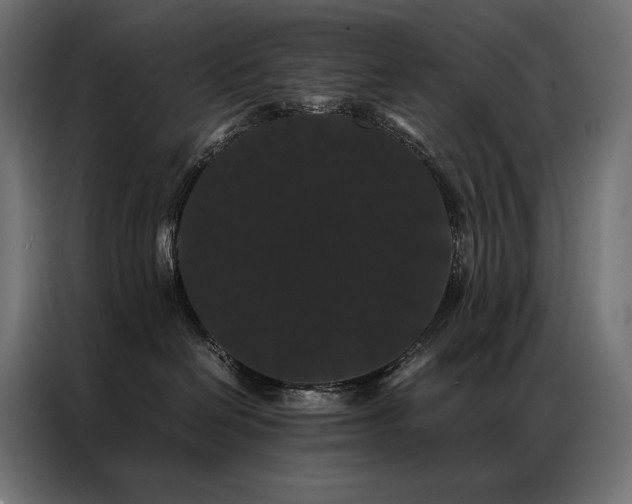 X0000087020286200704161606