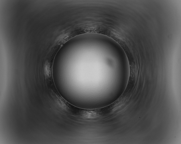 X0000087020287200704161606
