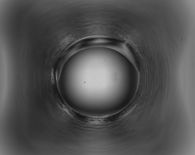 X0000087020288200704161606