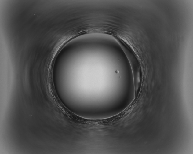 X0000087020289200704161606