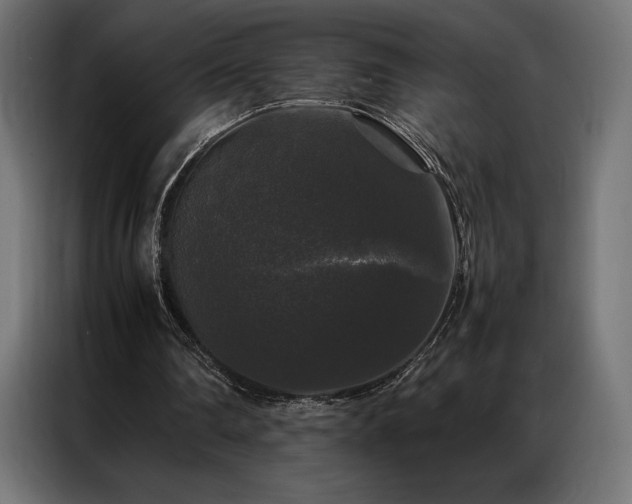 X0000087020290200704161606