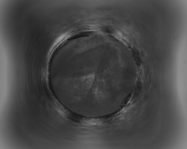 X0000087020293200704161606