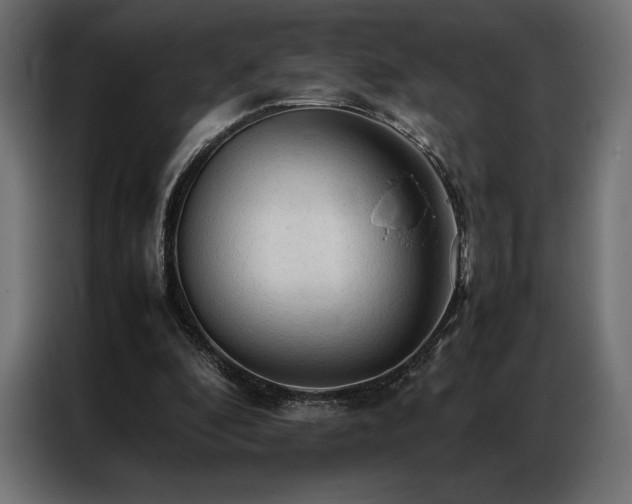 X0000087020296200704161606