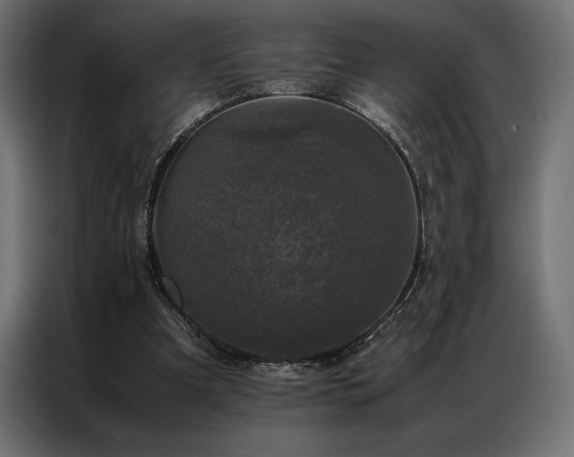 X0000087020297200704161606