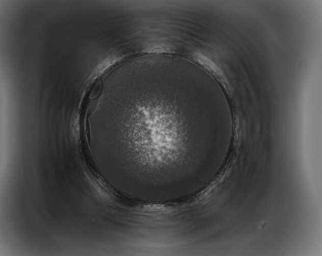 X0000087020298200704161606