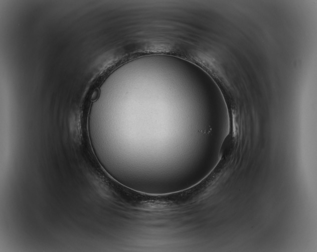 X0000087020300200704161606