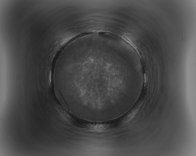 X0000087020301200704161606