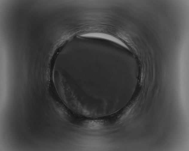 X0000087020303200704161606