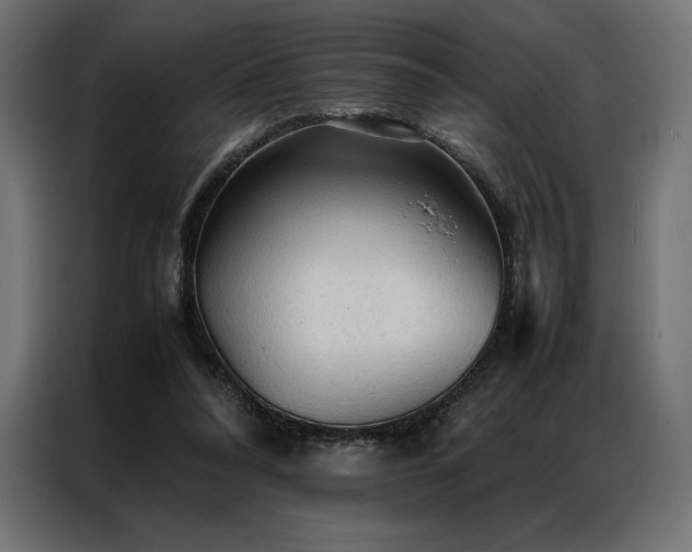 X0000087020304200704161606