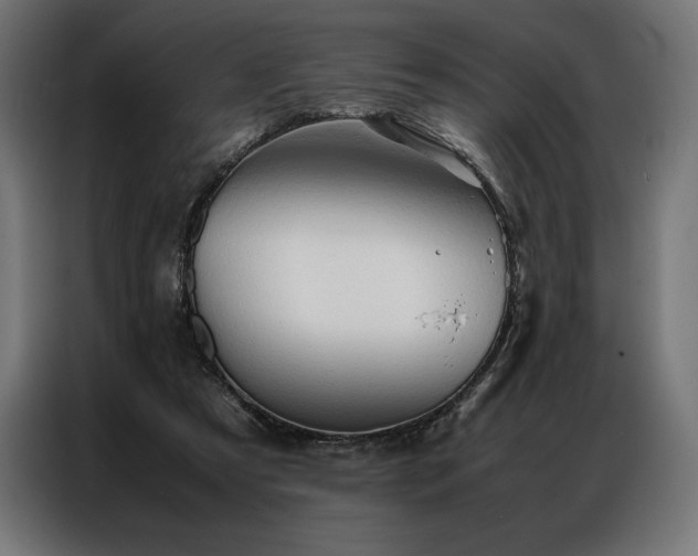 X0000087020305200704161606