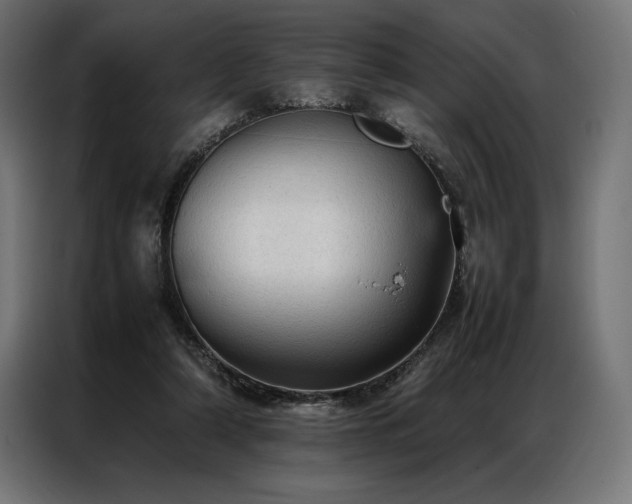 X0000087020306200704161606