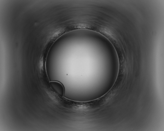 X0000087020310200704161606