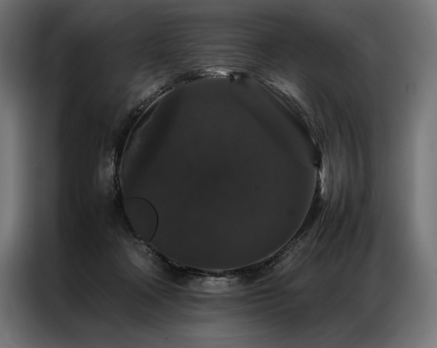 X0000087020314200704161606