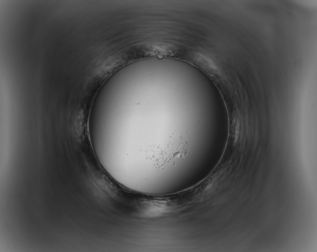 X0000087020318200704161606