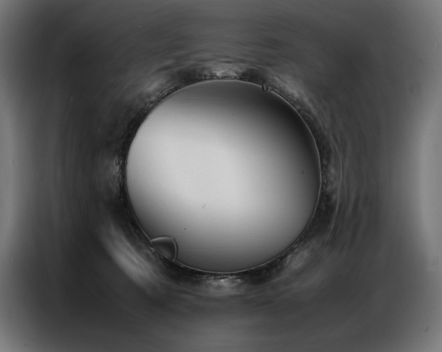 X0000087020321200704161606