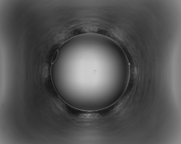 X0000087020323200704161605
