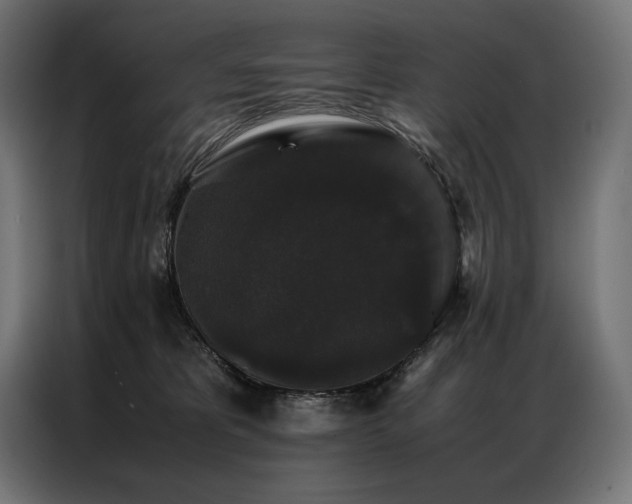 X0000087020325200704161605