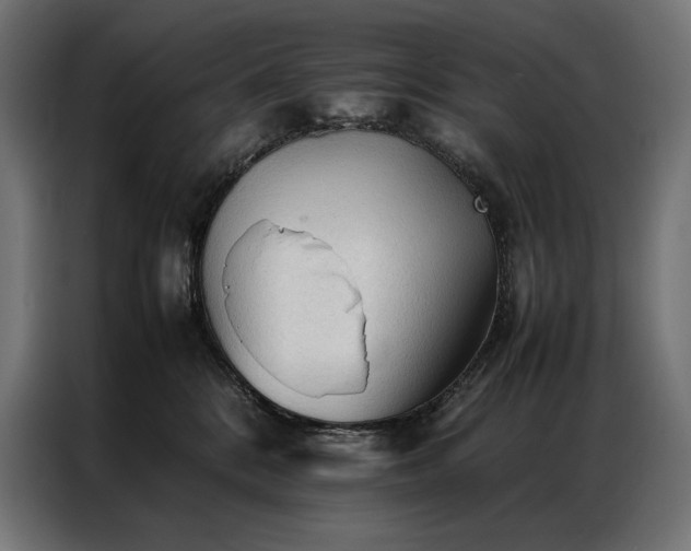 X0000087020328200704161605