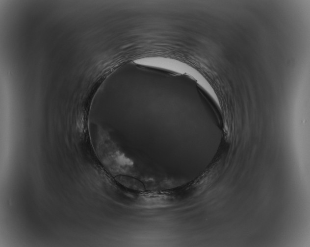 X0000087020331200704161605