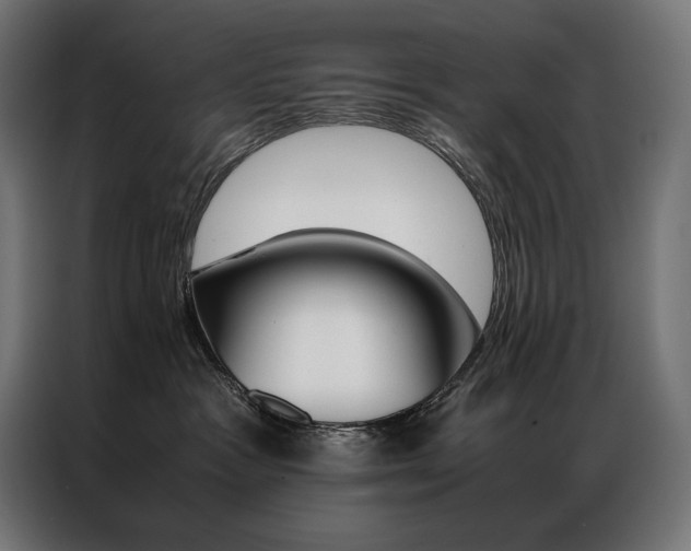 X0000087020333200704161605