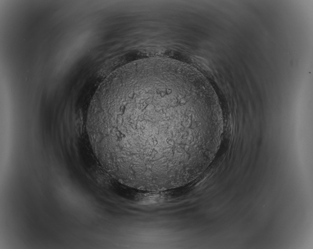 X0000087020335200704161605