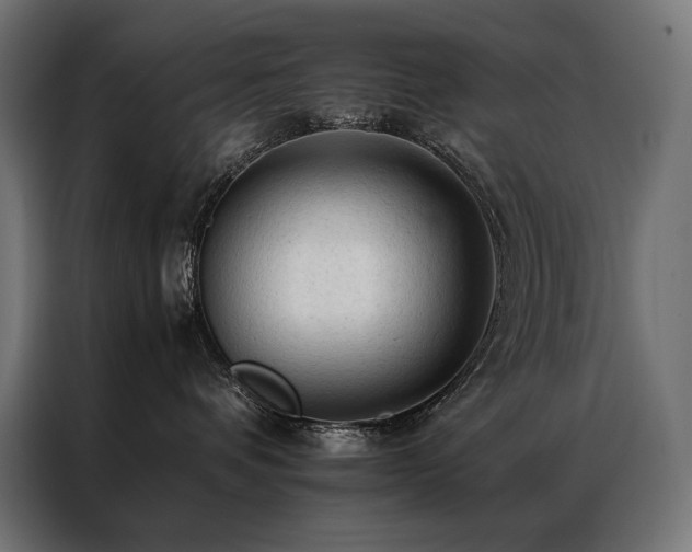 X0000087020336200704161605
