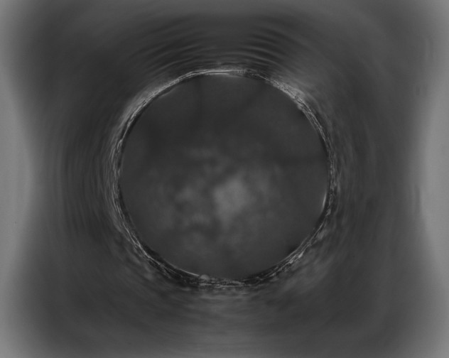 X0000087020337200704161605
