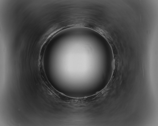 X0000087020338200704161605