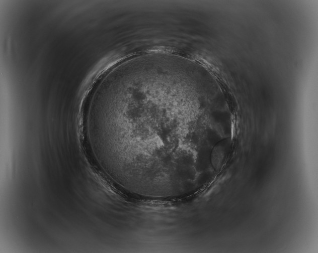 X0000087020339200704161605