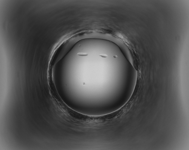 X0000087020340200704161605