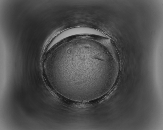 X0000087020341200704161605