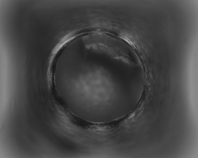 X0000087020343200704161605