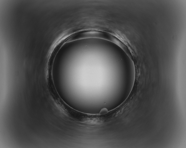 X0000087020344200704161605