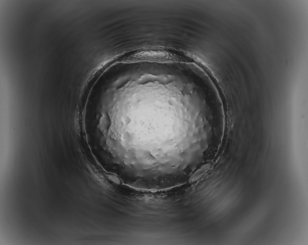 X0000087020345200704161605