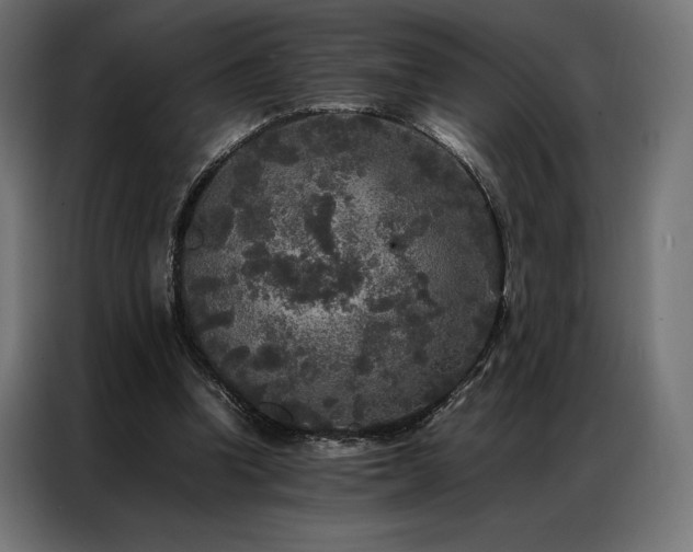 X0000087020346200704161605