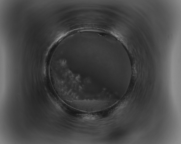 X0000087020347200704161605