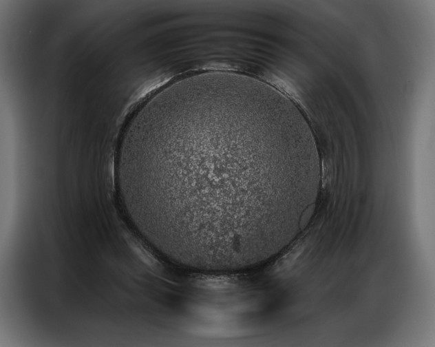 X0000087020349200704161605